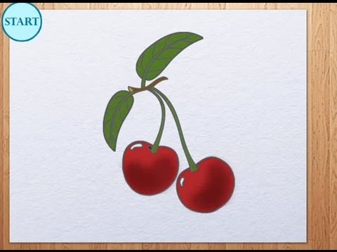Cherry Drawing Picture