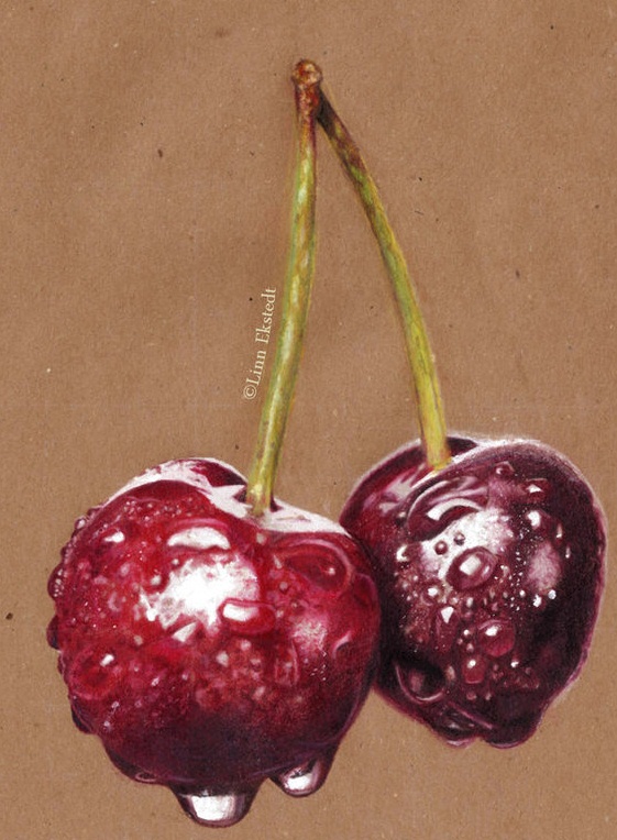 Cherry Drawing Realistic