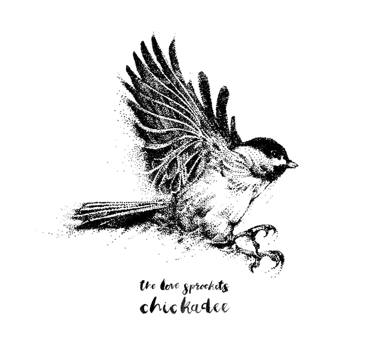 Chickadee Drawing Picture
