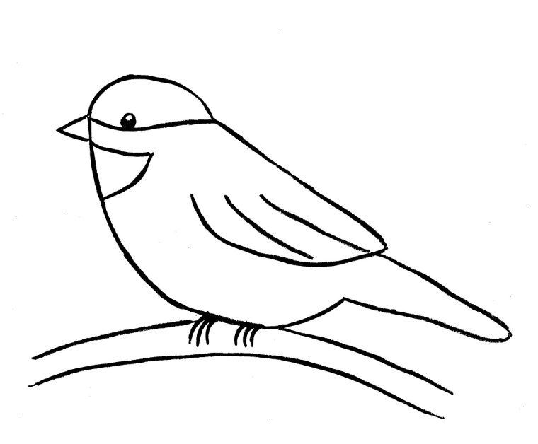 Chickadee Drawing Realistic