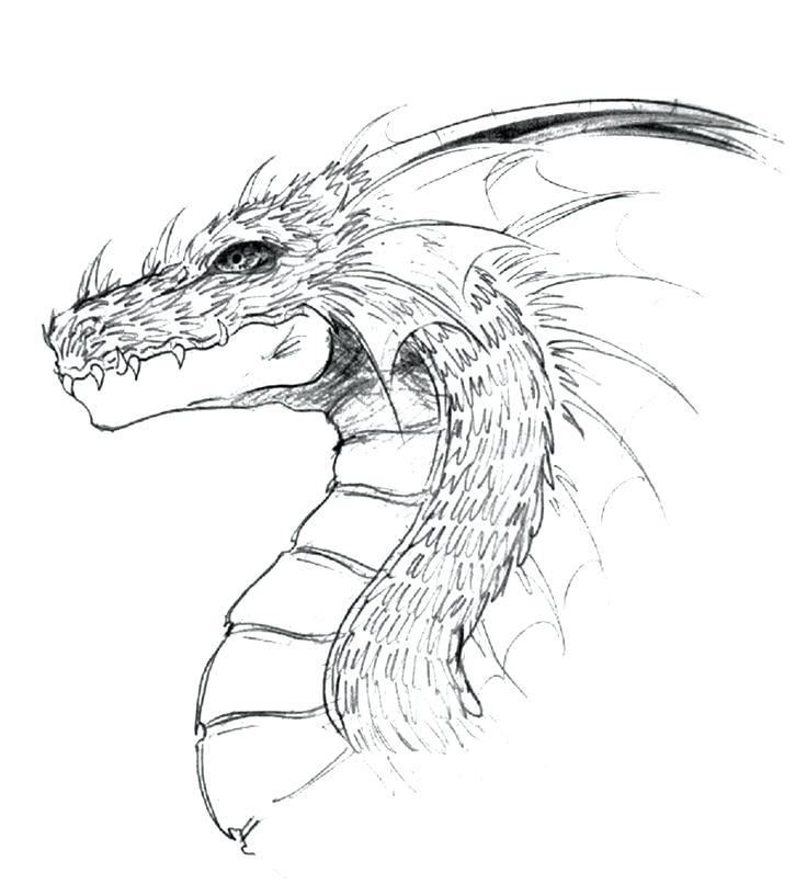 Chinese Dragon Head Drawing Beautiful Art