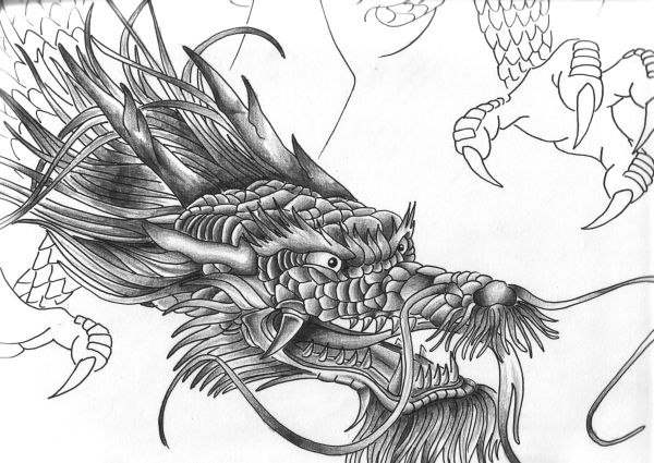 Chinese Dragon Head Drawing Image