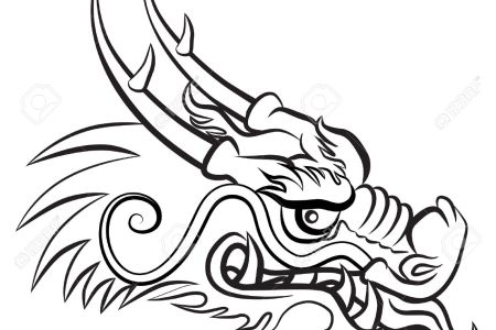 Chinese Dragon Head Drawing Photo