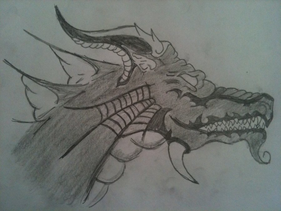 Chinese Dragon Head Drawing Pic