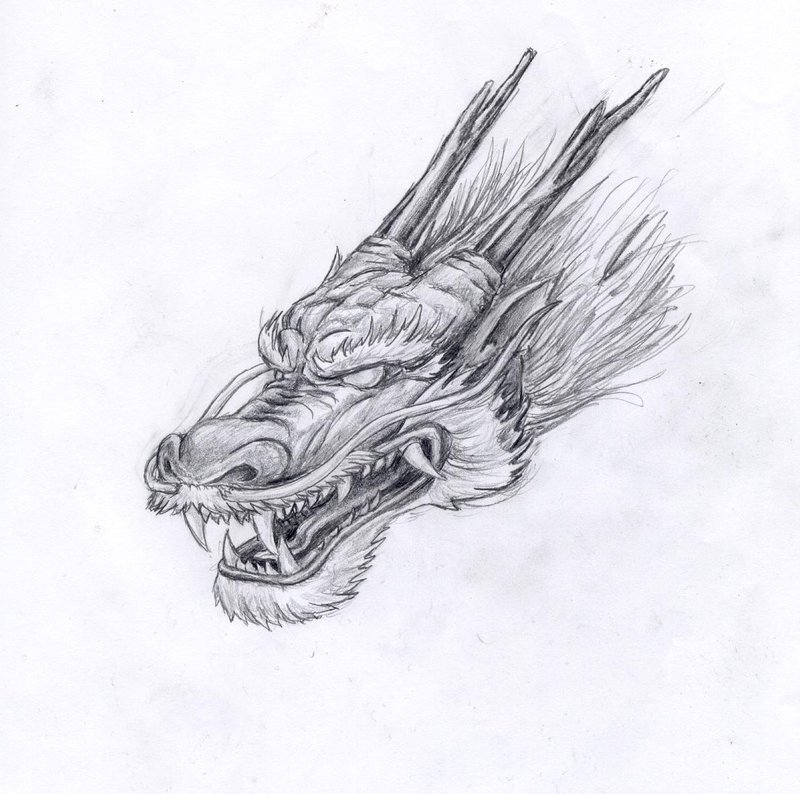 Chinese Dragon Head Drawing Picture