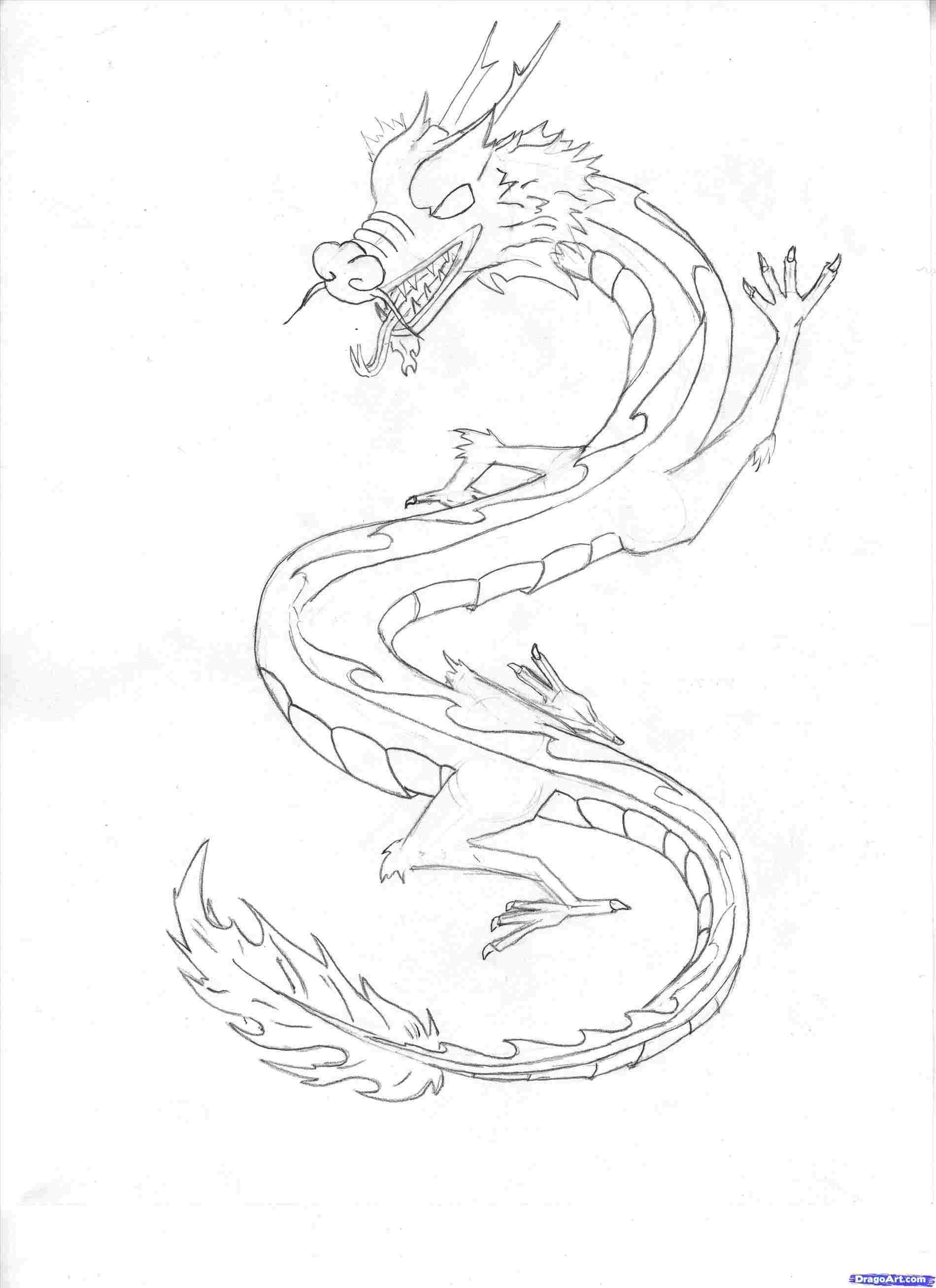 Chinese Dragon Head Drawing Pictures