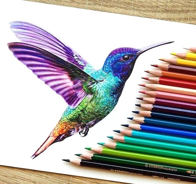 Color Drawing Realistic