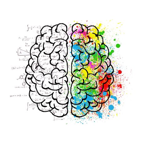 Colored Brain Drawing Picture
