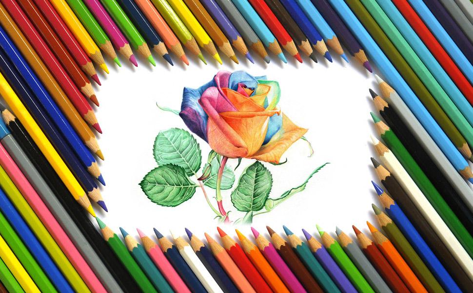 Colored Drawing Pics