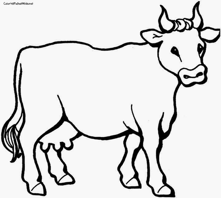 Cow Drawing Picture