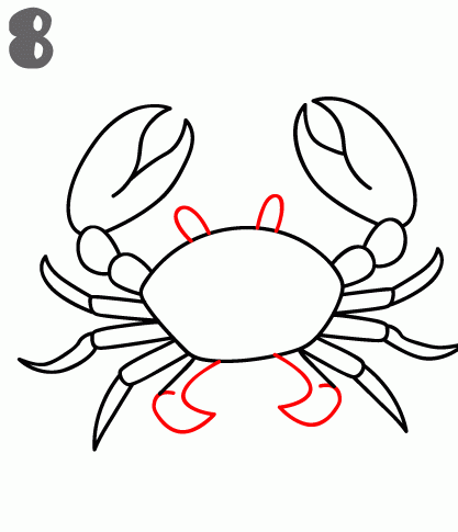Crab Drawing Pics