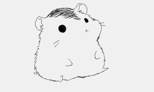 Cute Hamster Art Drawing