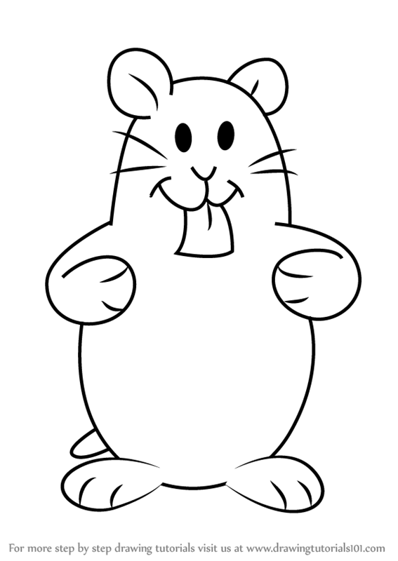 Cute Hamster Drawing Amazing
