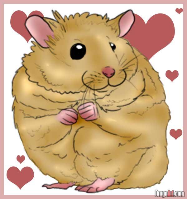 Cute Hamster Drawing Realistic