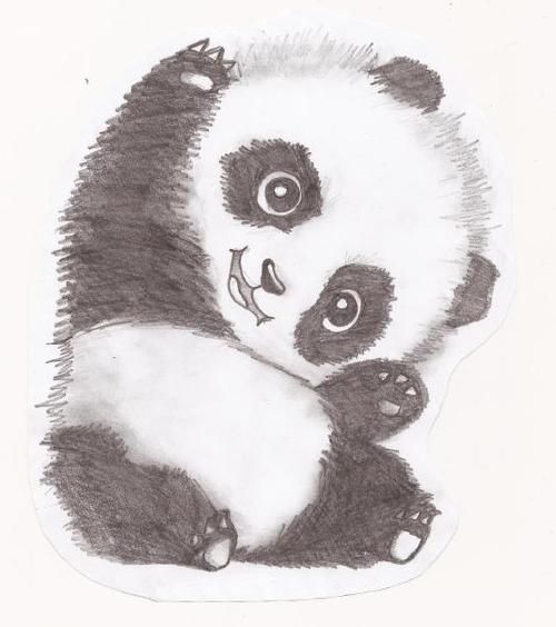 Cute Panda Drawing Pics