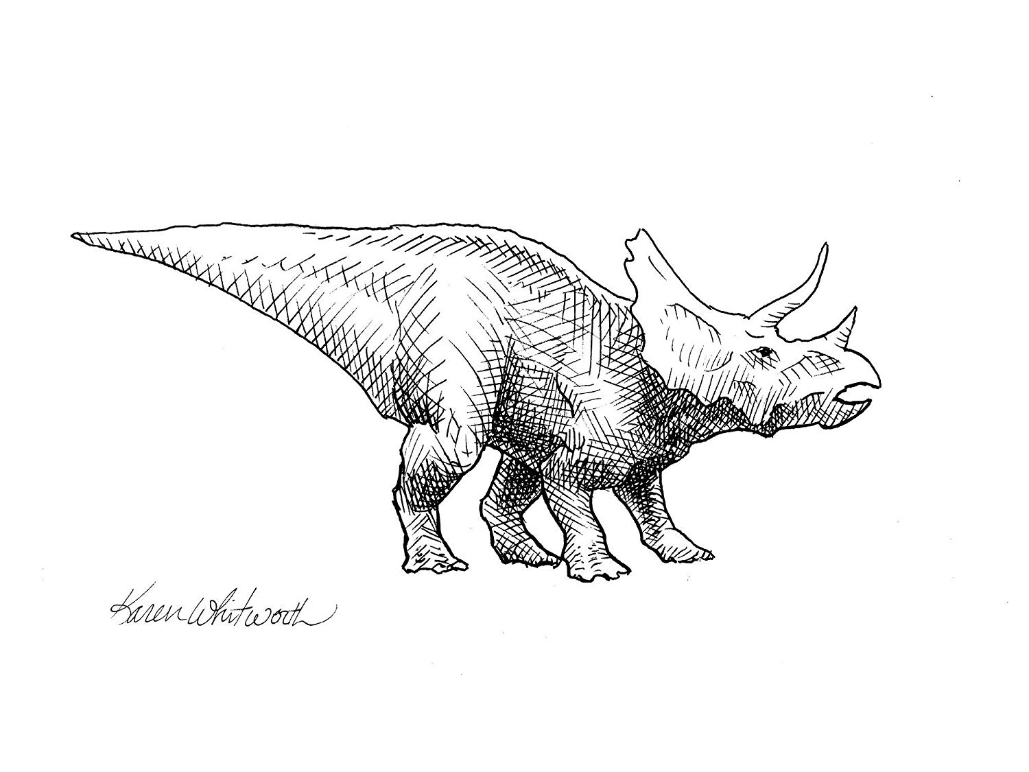 Dinosaur Drawing Image