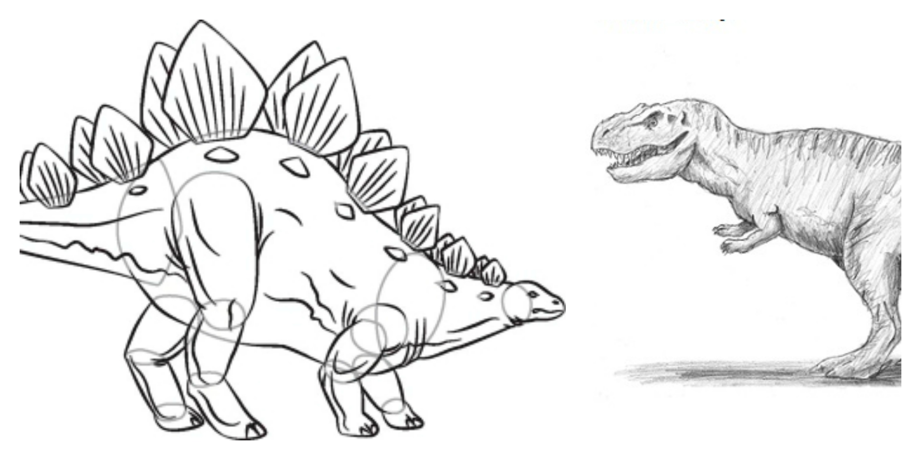 Dinosaur Drawing Pics
