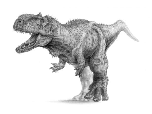 Dinosaur Drawing Sketch