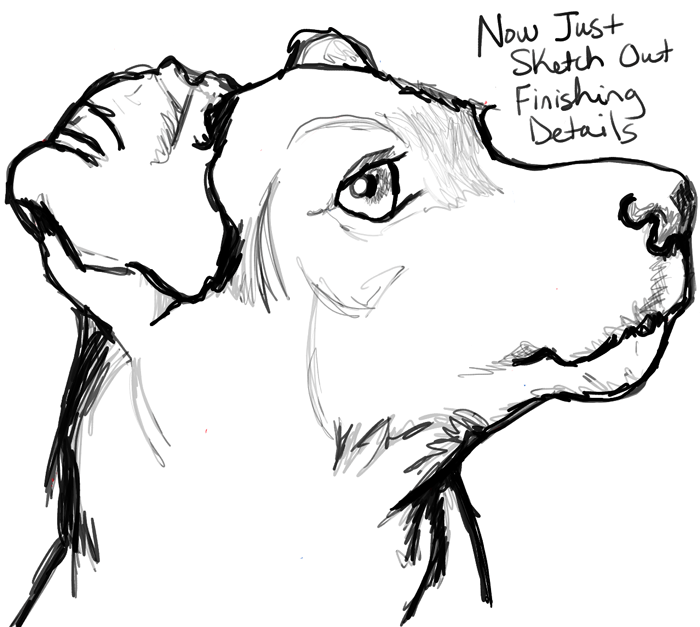 Dog Drawing Sketch
