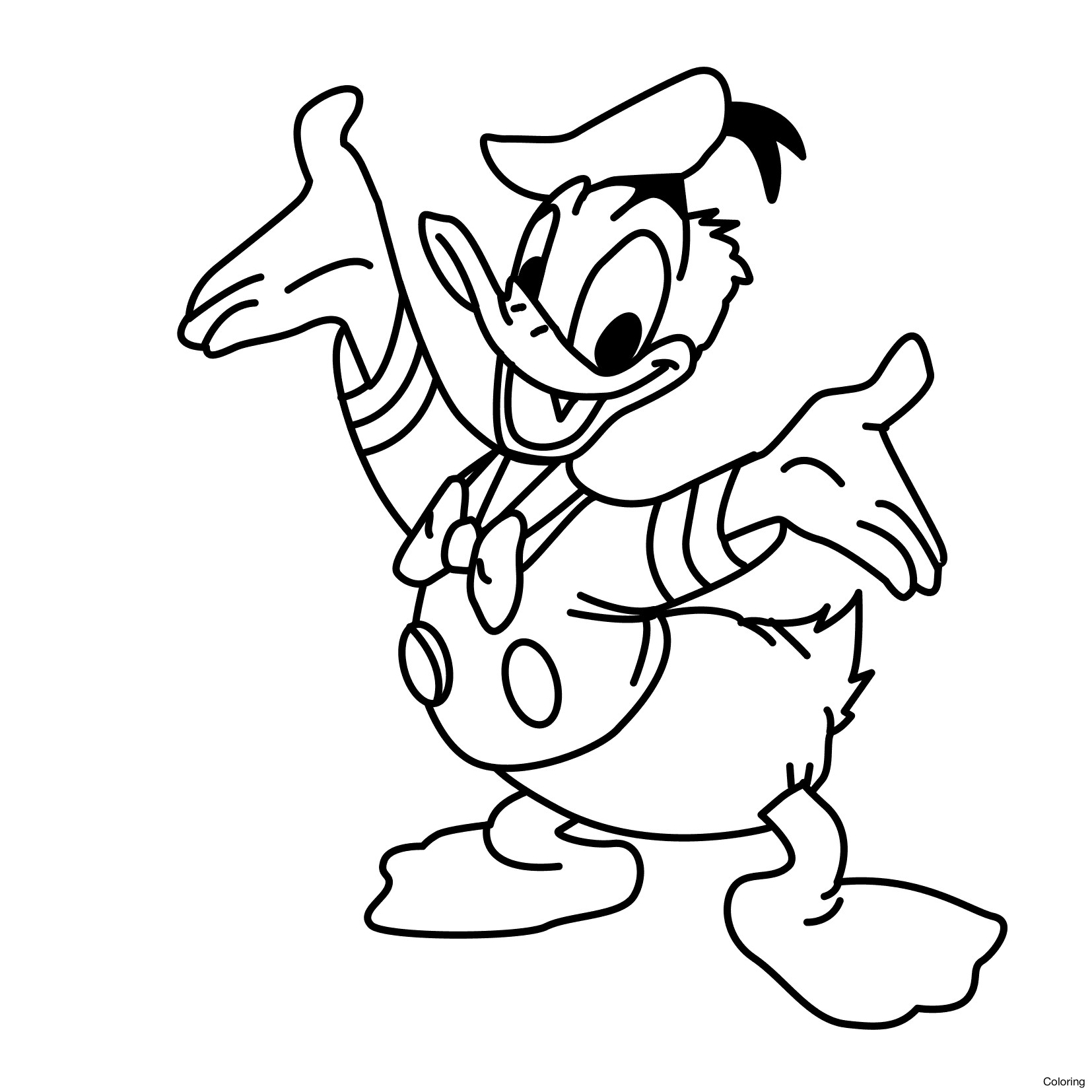 Donald Duck Drawing Photo