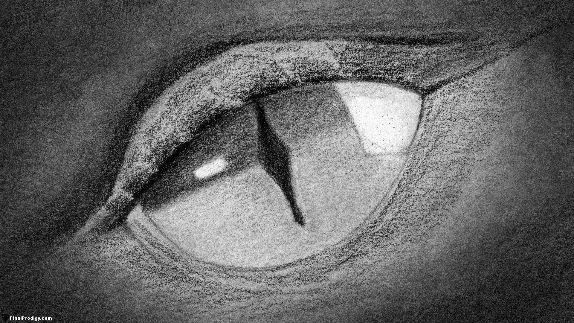 Dragon Eyes Drawing Photos