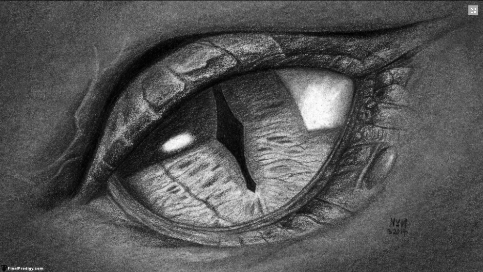 Dragon Eyes Drawing Pictures