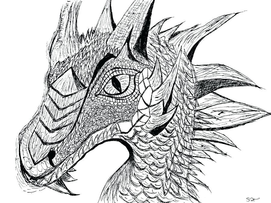 Dragon Head Drawing Best