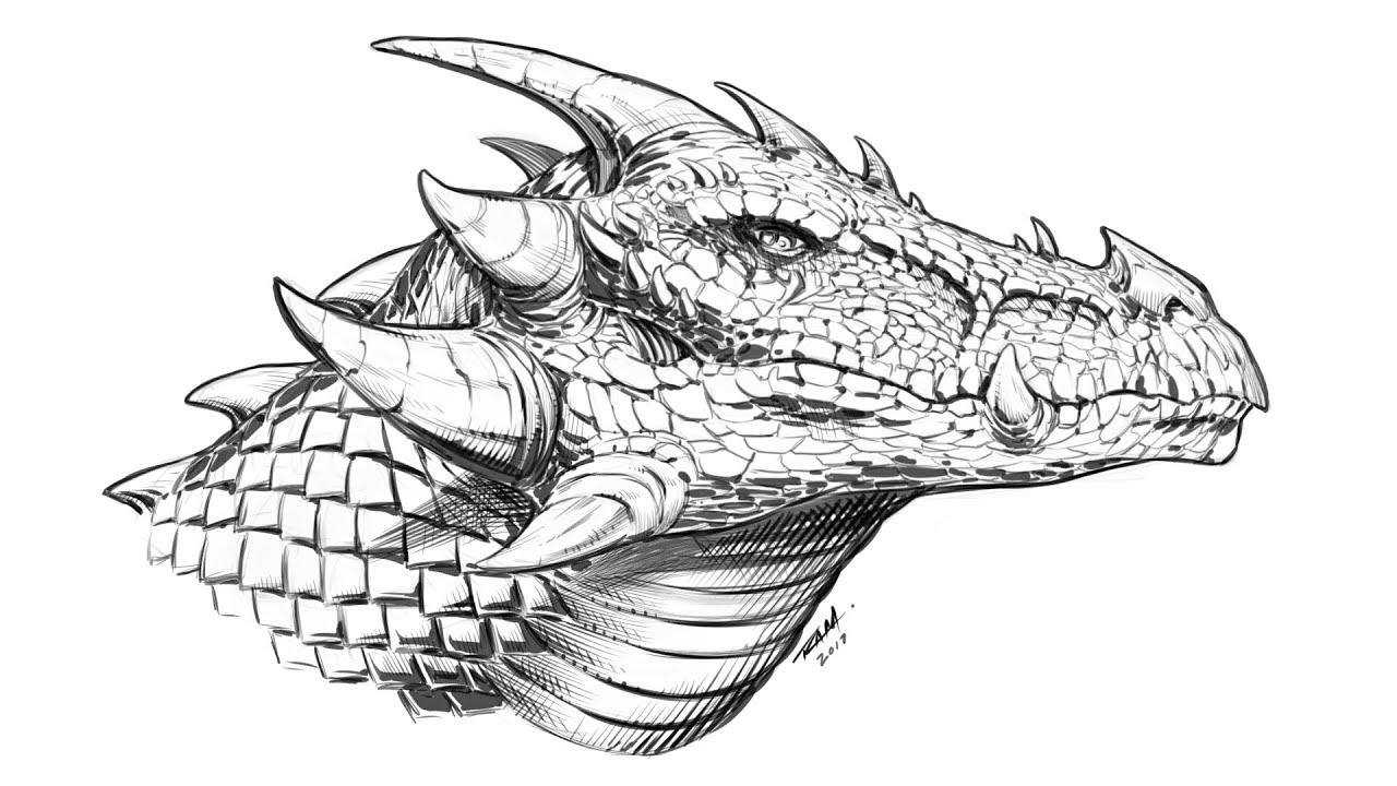 Dragon Head Drawing Creative Art