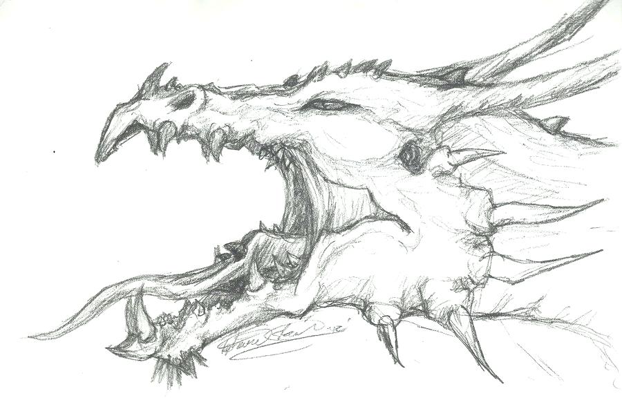 Dragon Head Drawing High-Quality