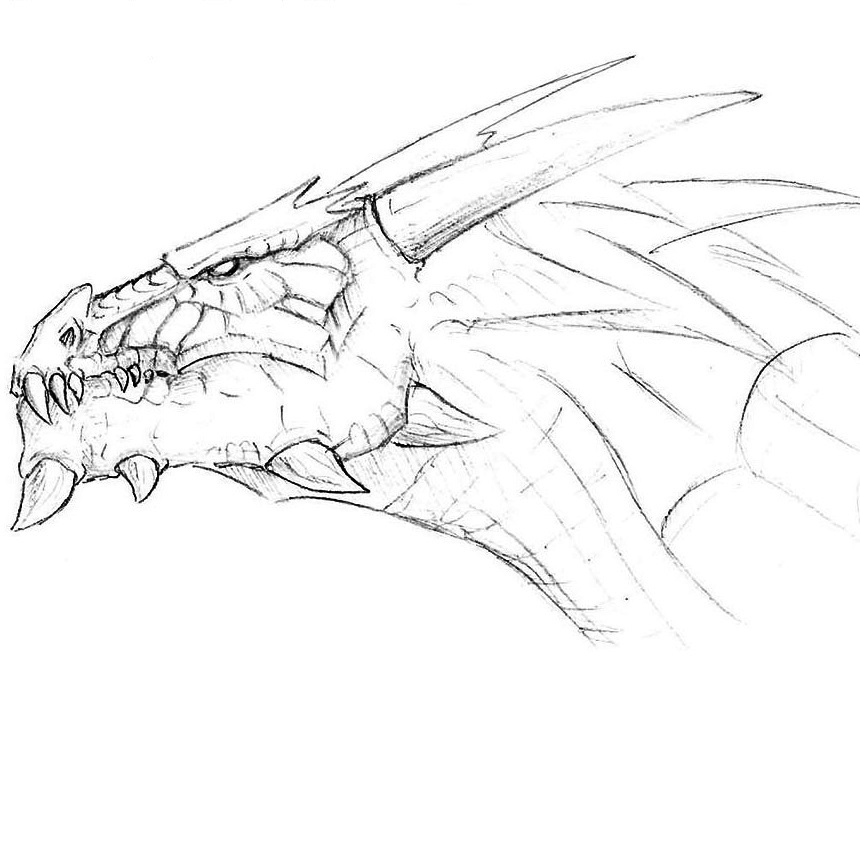 Dragon Head Drawing Pics