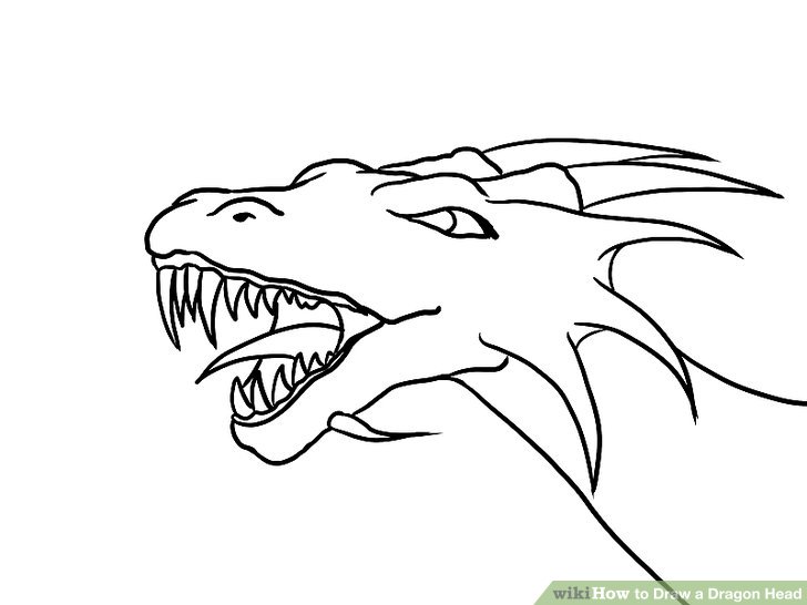 Dragon Head Drawing
