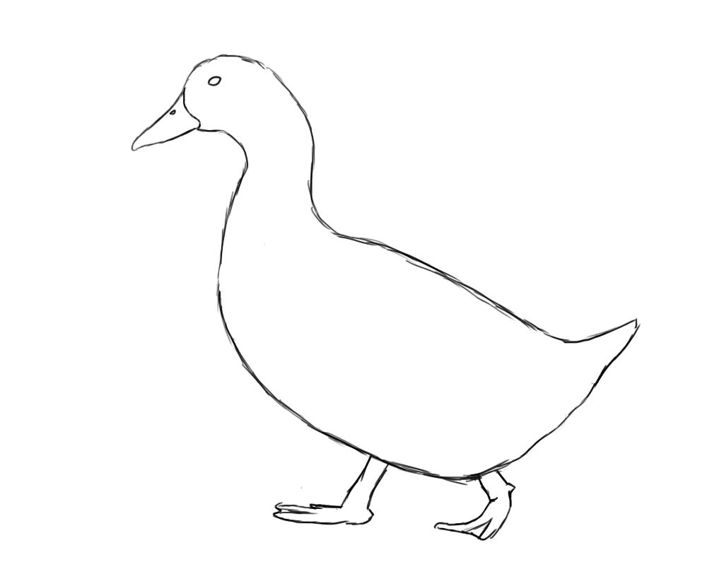 Duck Drawing Beautiful Image