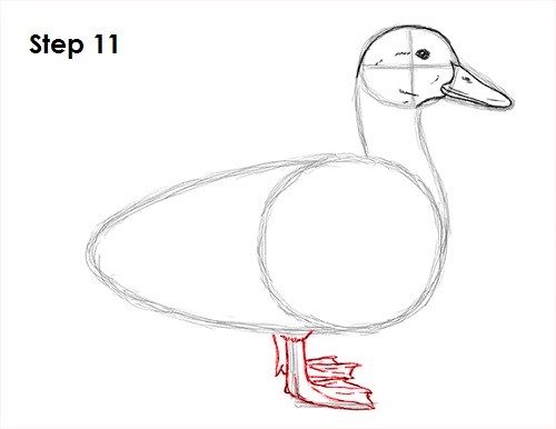 Duck Drawing Sketch