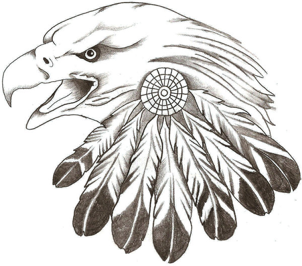 Eagle Feather Drawing Picture