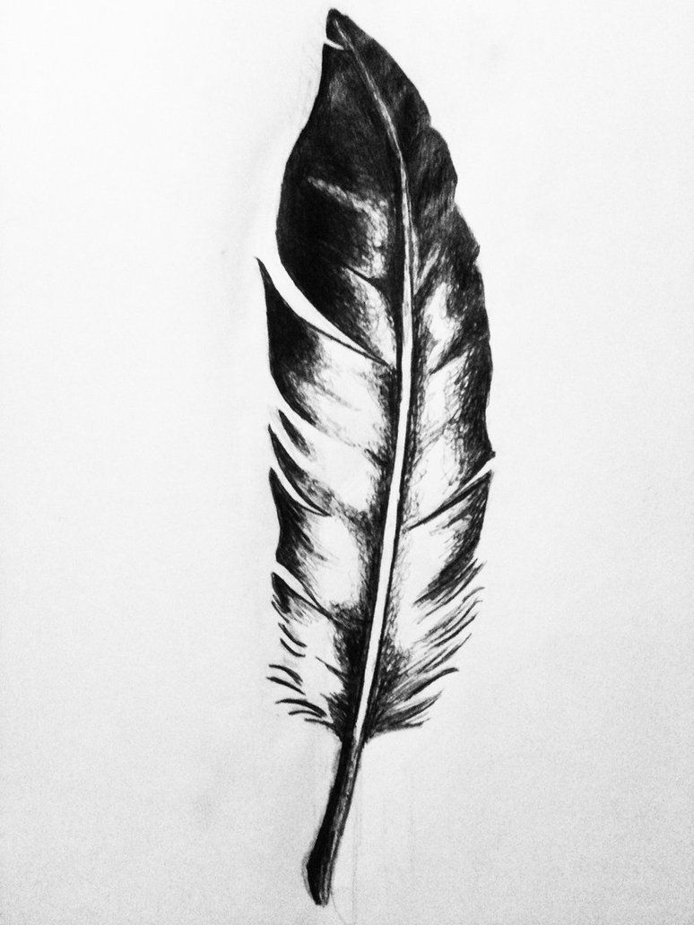 Eagle Feather Drawing