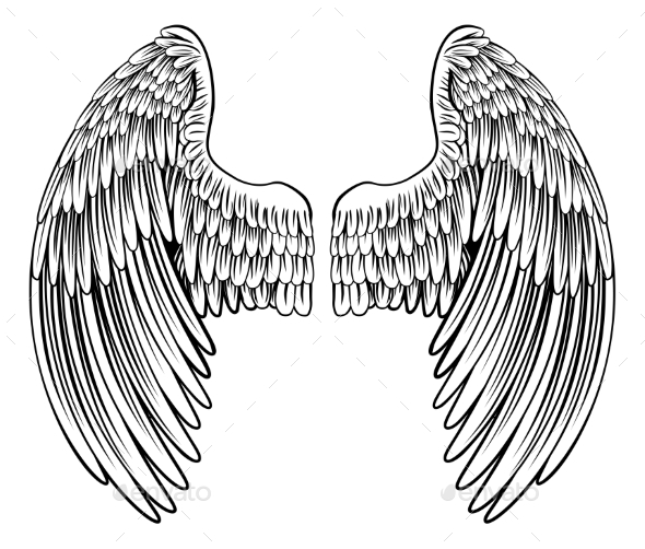 Eagle Wings Drawing Art