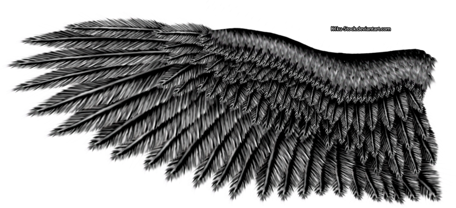 Eagle Wings Stock Illustrations – 33,138 Eagle Wings Stock Illustrations,  Vectors & Clipart - Dreamstime