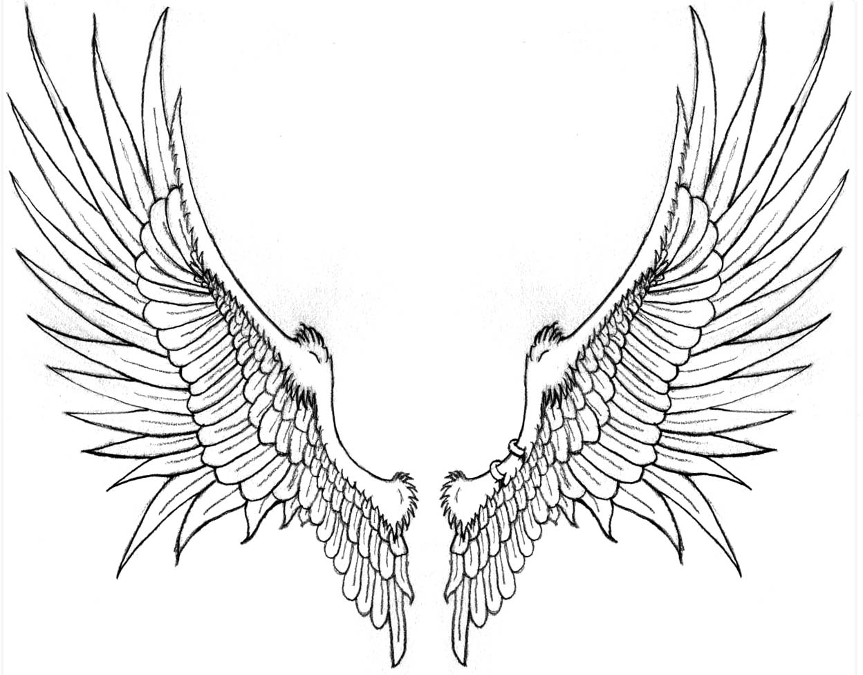 Eagle Wings Drawing Photo