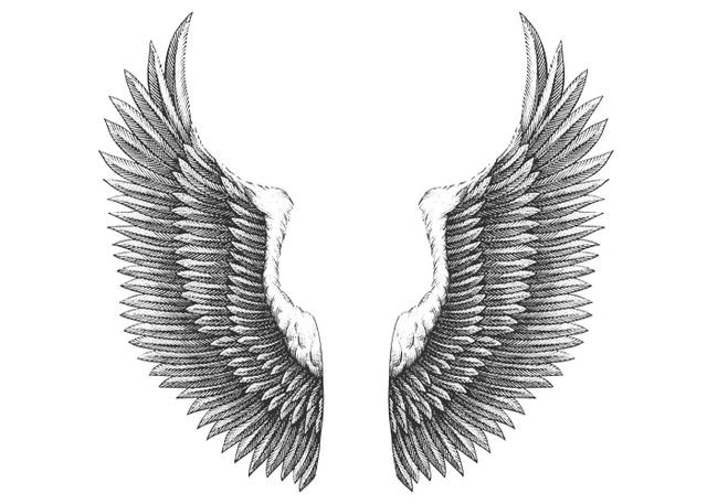 Eagle Wings Drawing Picture - Drawing Skill