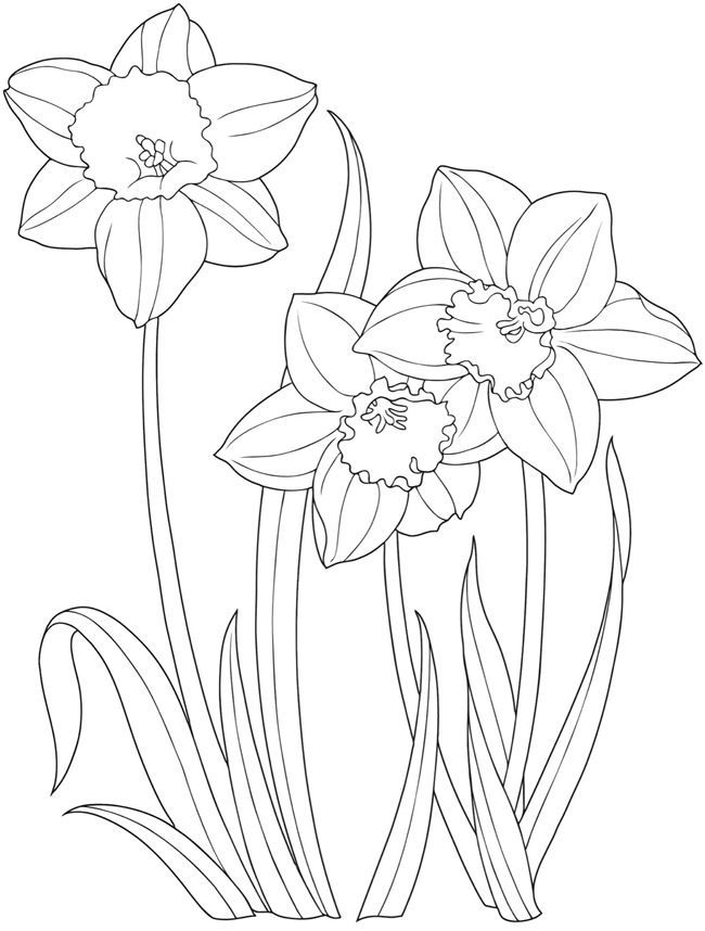 Easter Flower Drawing High-Quality