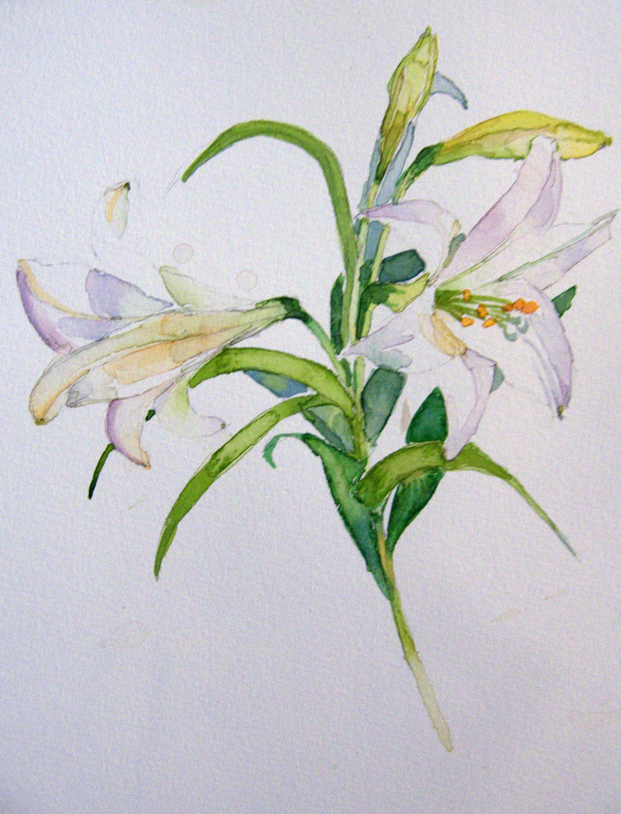 Easter Flower Drawing Image
