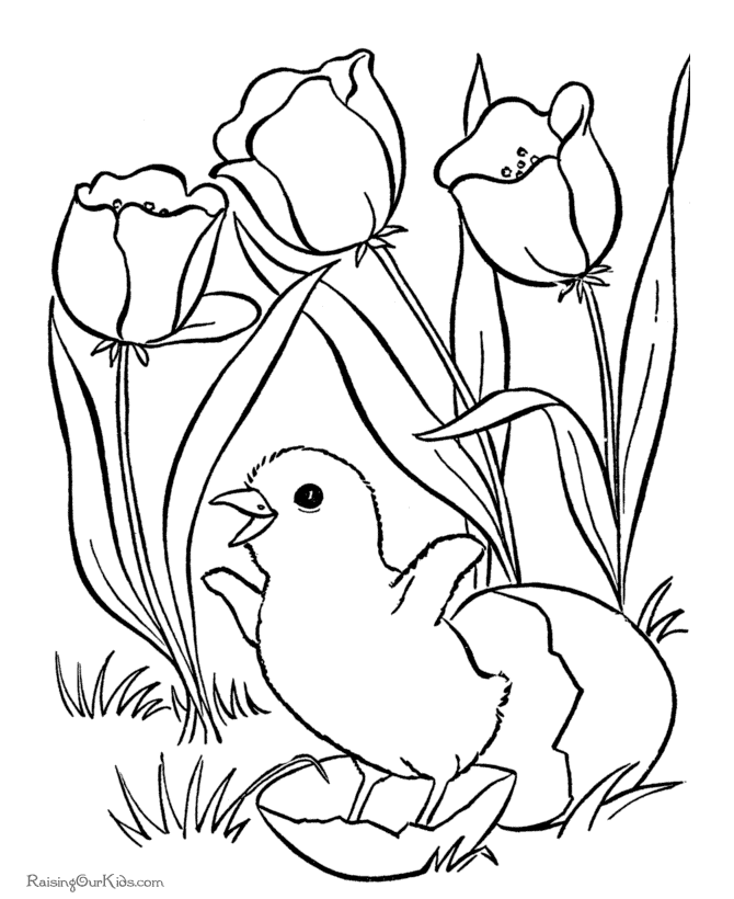 Easter Flower Drawing