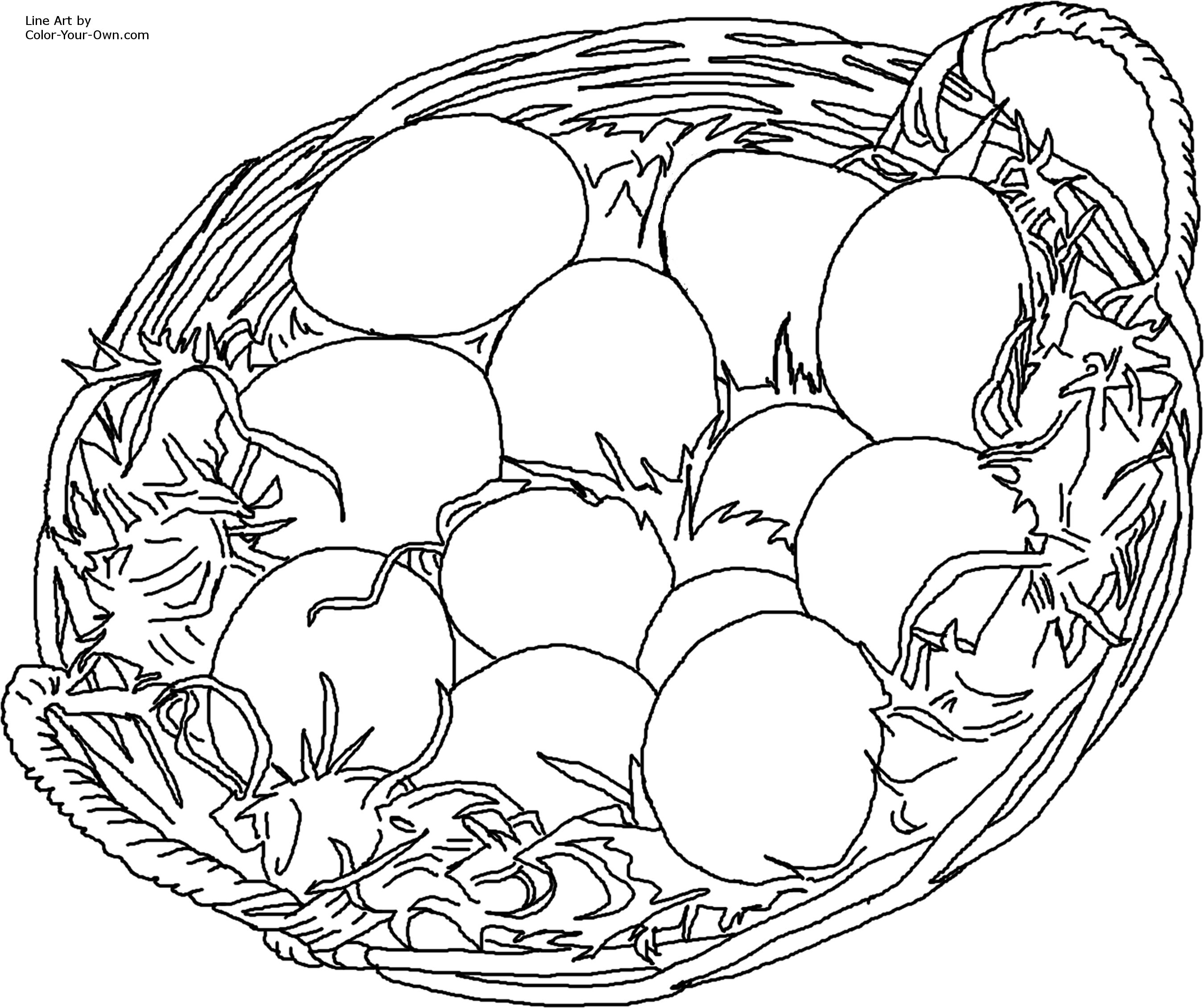 Eggs Drawing Photo