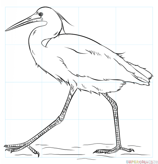 Egret Drawing Art