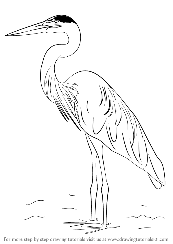 Egret Drawing Image