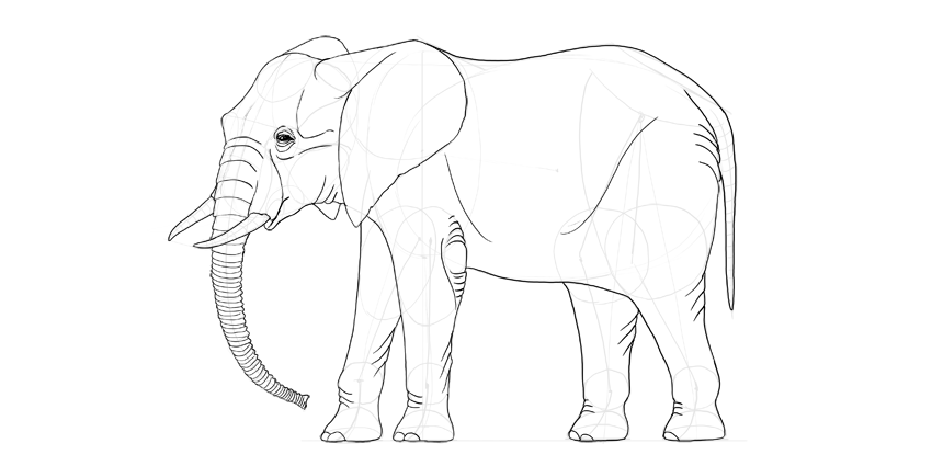 Elephant Drawing Beautiful Art