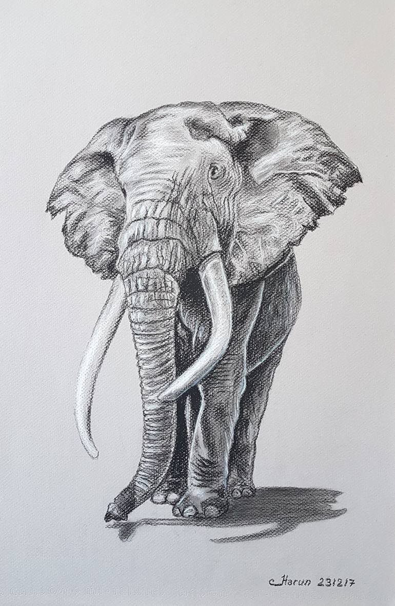 Elephant Drawing Image