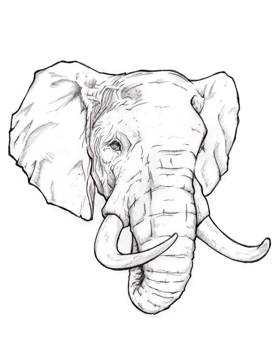 Elephant Drawing Images