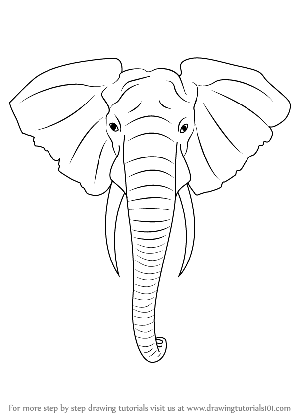 Elephant Drawing Photos