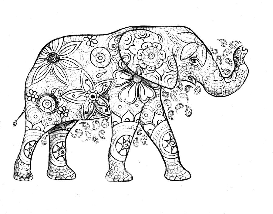 Elephant Drawing Pic